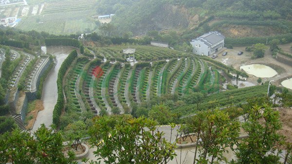 拉斯维加斯游戏·(中国)官方网站