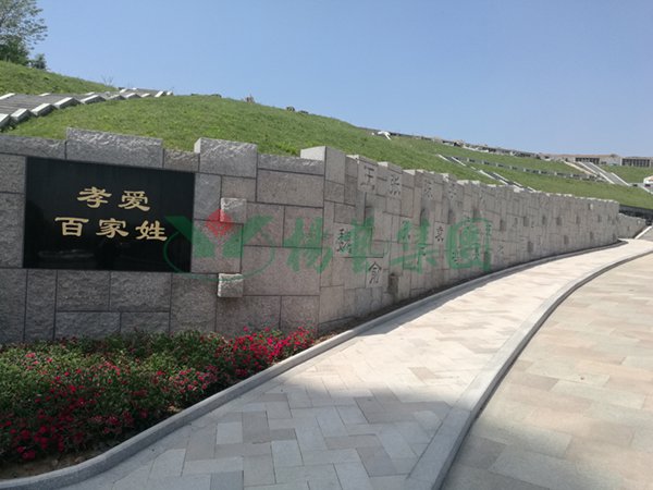 拉斯维加斯游戏·(中国)官方网站