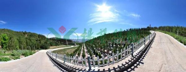 拉斯维加斯游戏·(中国)官方网站