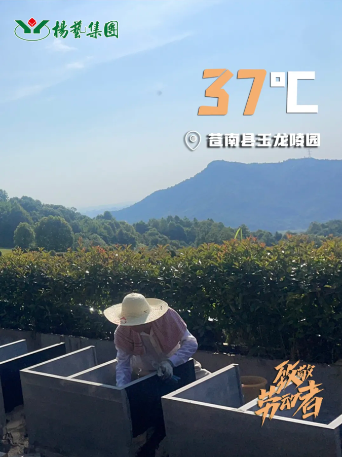 拉斯维加斯游戏·(中国)官方网站